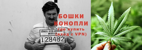 крисы Бикин