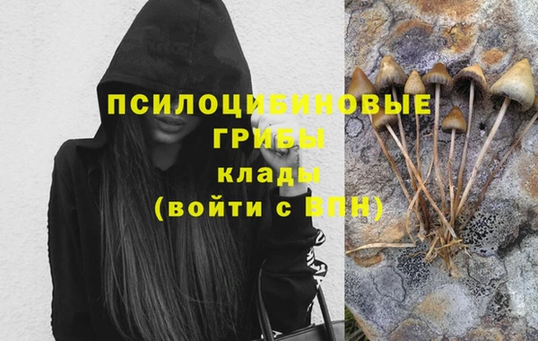 марки nbome Новозыбков
